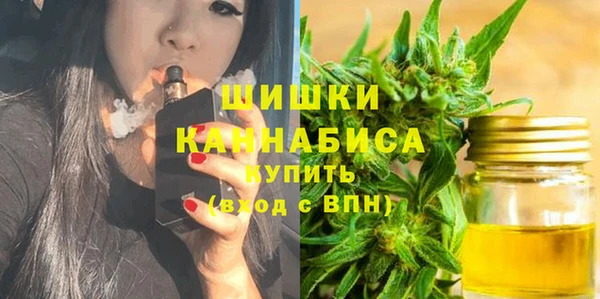 индика Алзамай